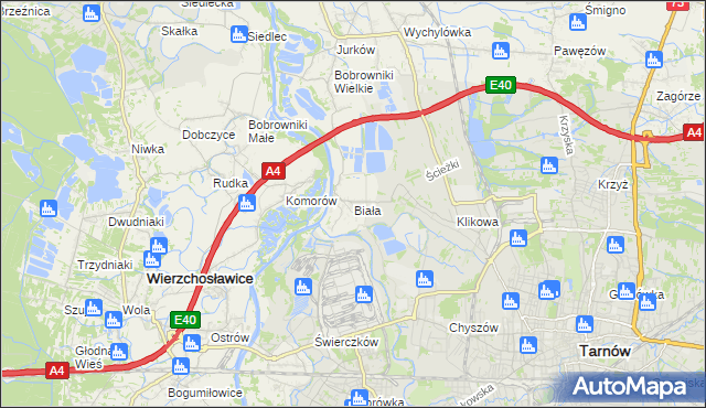 mapa Biała gmina Tarnów, Biała gmina Tarnów na mapie Targeo