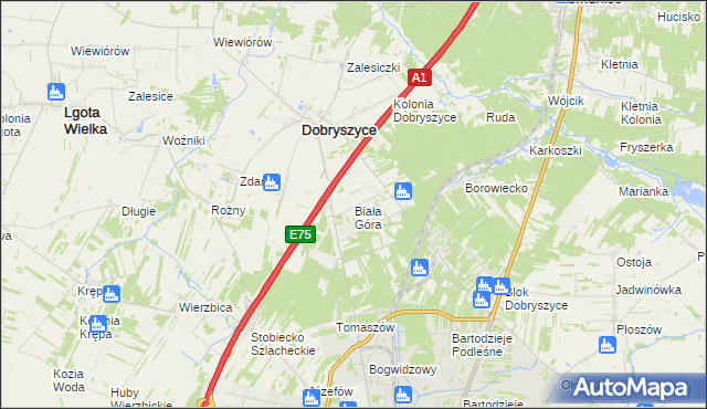 mapa Biała Góra gmina Dobryszyce, Biała Góra gmina Dobryszyce na mapie Targeo