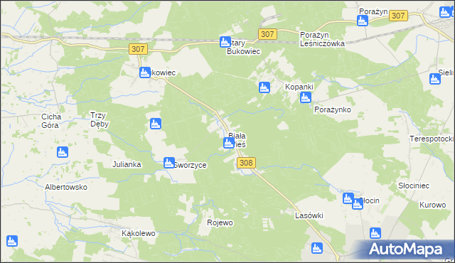 mapa Biała Wieś gmina Grodzisk Wielkopolski, Biała Wieś gmina Grodzisk Wielkopolski na mapie Targeo