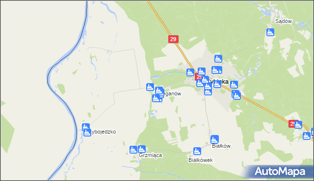 mapa Bieganów gmina Cybinka, Bieganów gmina Cybinka na mapie Targeo