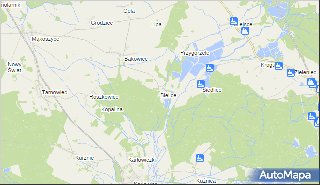 mapa Bielice gmina Świerczów, Bielice gmina Świerczów na mapie Targeo