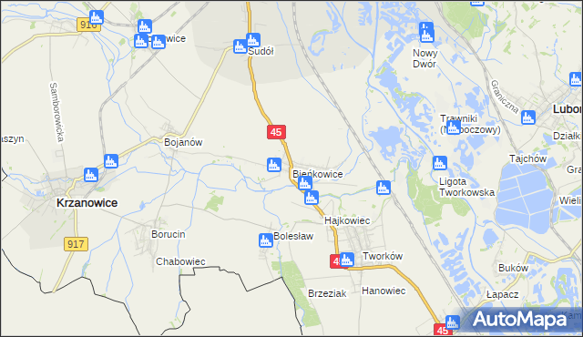 mapa Bieńkowice gmina Krzyżanowice, Bieńkowice gmina Krzyżanowice na mapie Targeo