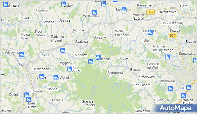 mapa Bieśnik gmina Łużna, Bieśnik gmina Łużna na mapie Targeo