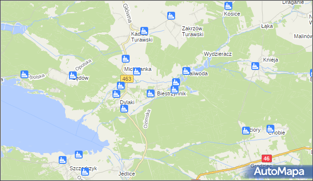 mapa Biestrzynnik, Biestrzynnik na mapie Targeo
