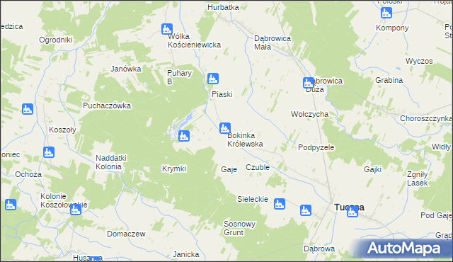 mapa Bokinka Królewska, Bokinka Królewska na mapie Targeo