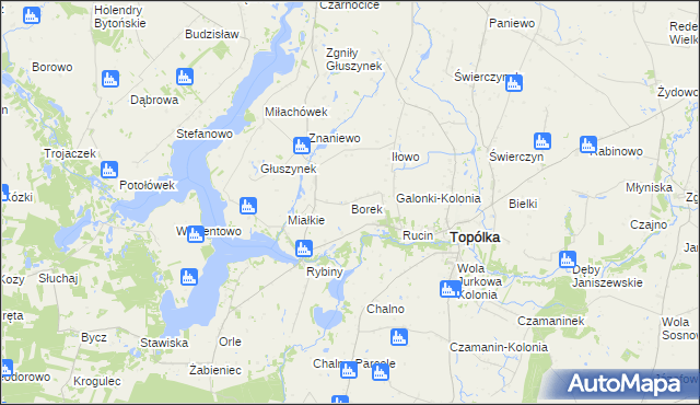 mapa Borek gmina Topólka, Borek gmina Topólka na mapie Targeo