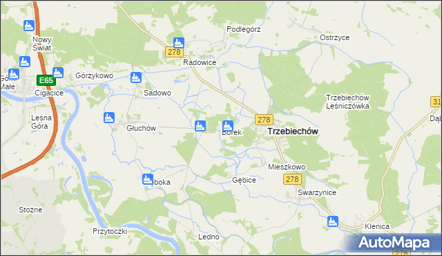 mapa Borek gmina Trzebiechów, Borek gmina Trzebiechów na mapie Targeo