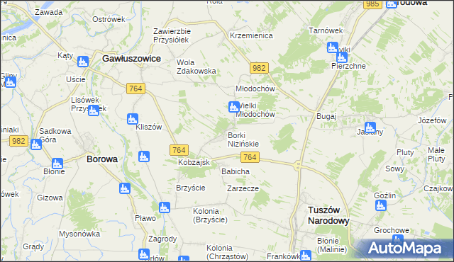 mapa Borki Nizińskie, Borki Nizińskie na mapie Targeo