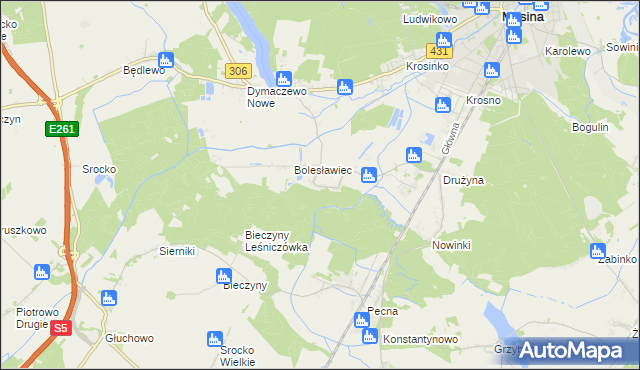 mapa Borkowice gmina Mosina, Borkowice gmina Mosina na mapie Targeo