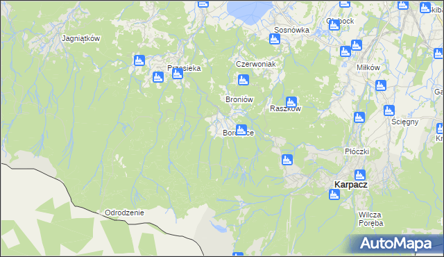 mapa Borowice gmina Podgórzyn, Borowice gmina Podgórzyn na mapie Targeo