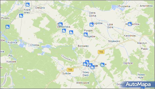 mapa Borowiec gmina Krasocin, Borowiec gmina Krasocin na mapie Targeo