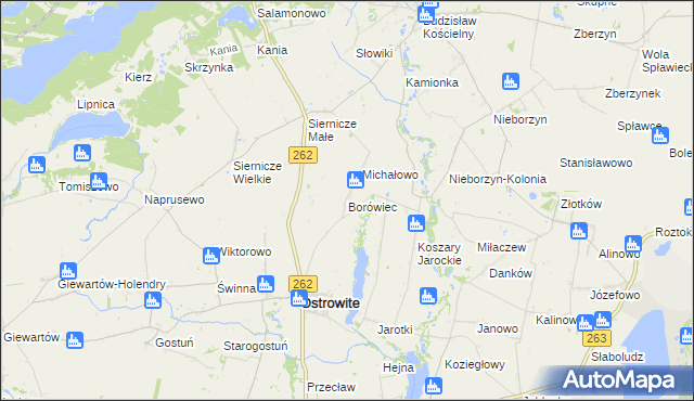 mapa Borówiec gmina Ostrowite, Borówiec gmina Ostrowite na mapie Targeo