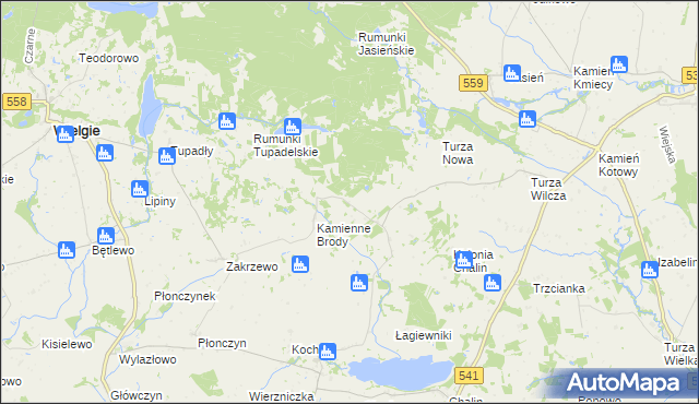 mapa Borowo gmina Tłuchowo, Borowo gmina Tłuchowo na mapie Targeo