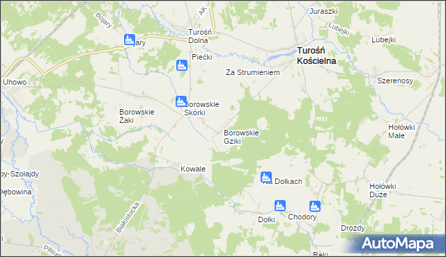 mapa Borowskie Gziki, Borowskie Gziki na mapie Targeo