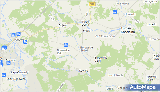 mapa Borowskie Skórki, Borowskie Skórki na mapie Targeo