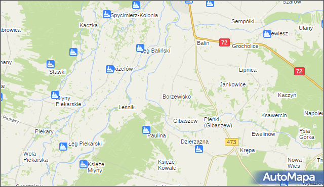 mapa Borzewisko gmina Poddębice, Borzewisko gmina Poddębice na mapie Targeo