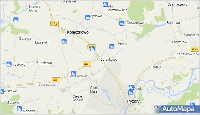 mapa Borzykowo gmina Kołaczkowo, Borzykowo gmina Kołaczkowo na mapie Targeo