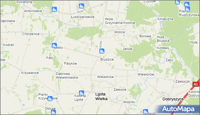 mapa Brudzice, Brudzice na mapie Targeo