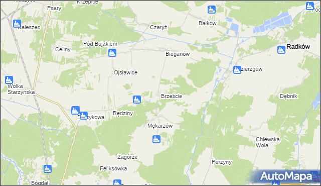 mapa Brzeście gmina Radków, Brzeście gmina Radków na mapie Targeo