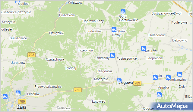 mapa Brzeziny gmina Niegowa, Brzeziny gmina Niegowa na mapie Targeo