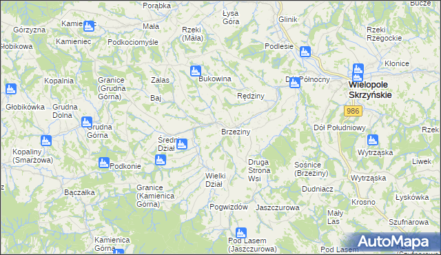 mapa Brzeziny gmina Wielopole Skrzyńskie, Brzeziny gmina Wielopole Skrzyńskie na mapie Targeo