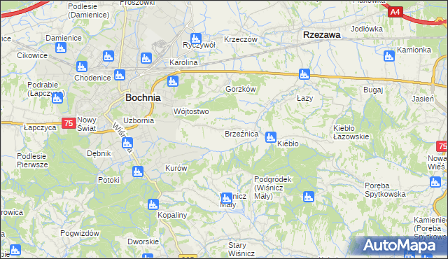 mapa Brzeźnica gmina Bochnia, Brzeźnica gmina Bochnia na mapie Targeo