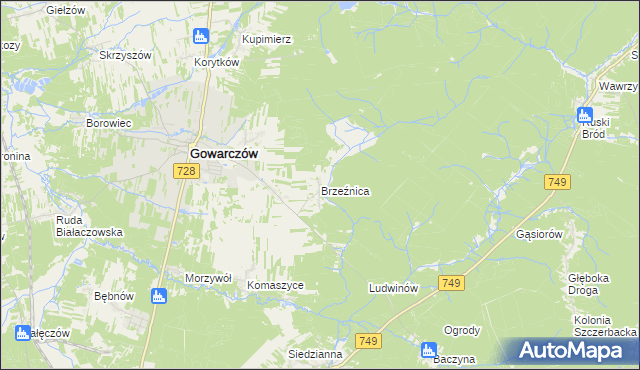 mapa Brzeźnica gmina Gowarczów, Brzeźnica gmina Gowarczów na mapie Targeo
