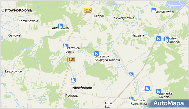 mapa Brzeźnica Książęca-Kolonia, Brzeźnica Książęca-Kolonia na mapie Targeo