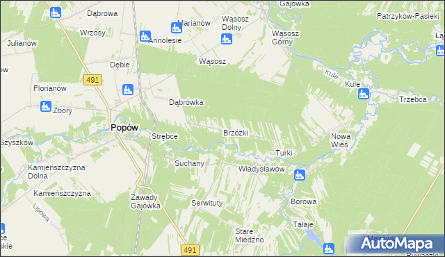 mapa Brzózki gmina Popów, Brzózki gmina Popów na mapie Targeo