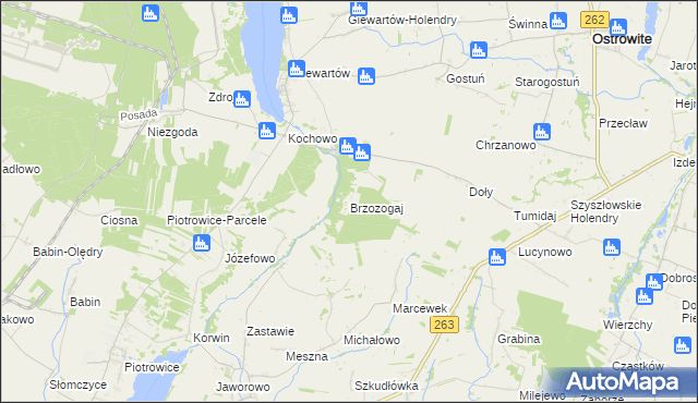 mapa Brzozogaj gmina Ostrowite, Brzozogaj gmina Ostrowite na mapie Targeo