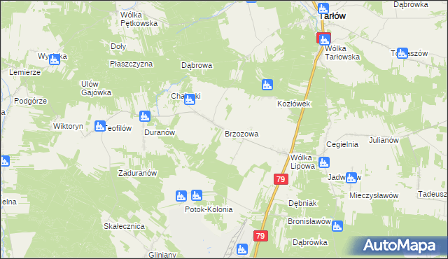 mapa Brzozowa gmina Tarłów, Brzozowa gmina Tarłów na mapie Targeo