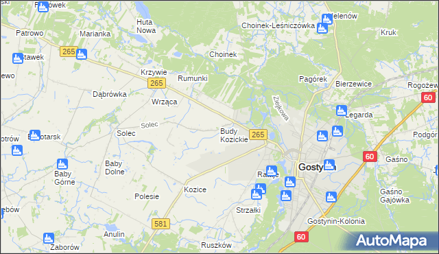 mapa Budy Kozickie, Budy Kozickie na mapie Targeo