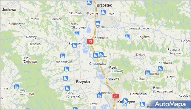 mapa Bukowa gmina Brzostek, Bukowa gmina Brzostek na mapie Targeo