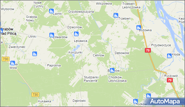 mapa Celinów gmina Grabów nad Pilicą, Celinów gmina Grabów nad Pilicą na mapie Targeo