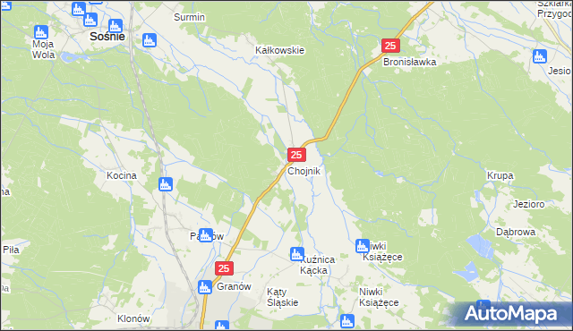 mapa Chojnik gmina Sośnie, Chojnik gmina Sośnie na mapie Targeo