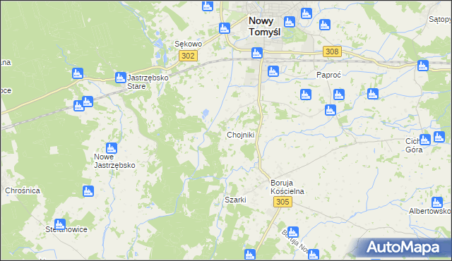 mapa Chojniki gmina Nowy Tomyśl, Chojniki gmina Nowy Tomyśl na mapie Targeo