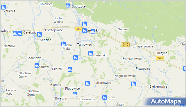 mapa Cielętniki gmina Zawonia, Cielętniki gmina Zawonia na mapie Targeo