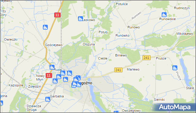 mapa Cieśle gmina Rogoźno, Cieśle gmina Rogoźno na mapie Targeo