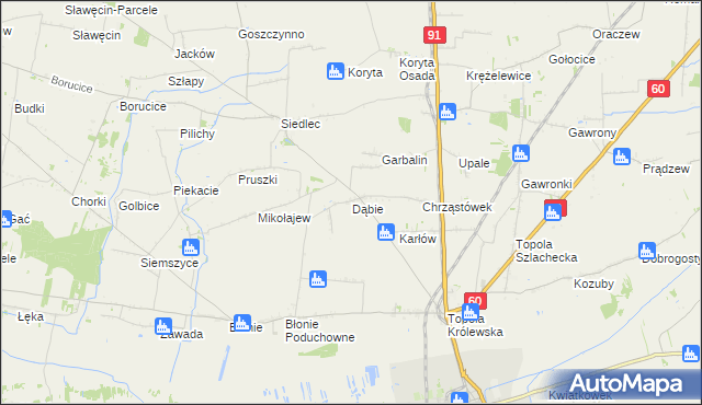 mapa Dąbie gmina Łęczyca, Dąbie gmina Łęczyca na mapie Targeo