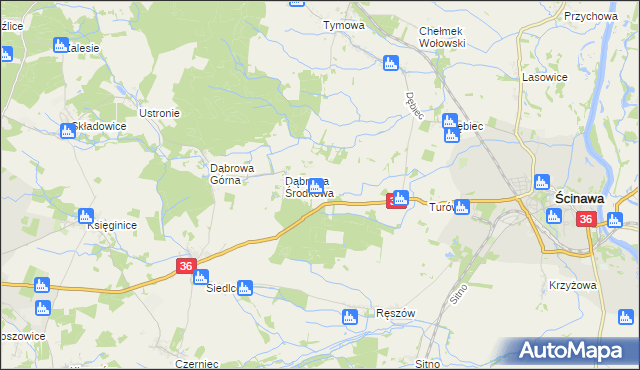 mapa Dąbrowa Dolna gmina Ścinawa, Dąbrowa Dolna gmina Ścinawa na mapie Targeo