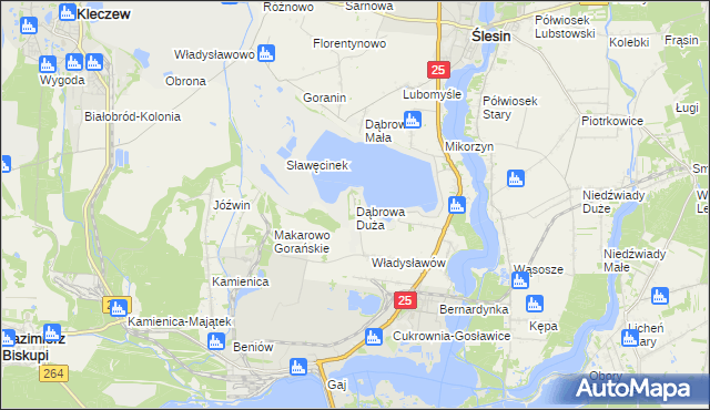 mapa Dąbrowa Duża gmina Ślesin, Dąbrowa Duża gmina Ślesin na mapie Targeo