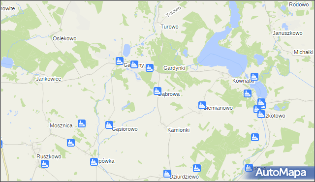 mapa Dąbrowa gmina Dąbrówno, Dąbrowa gmina Dąbrówno na mapie Targeo