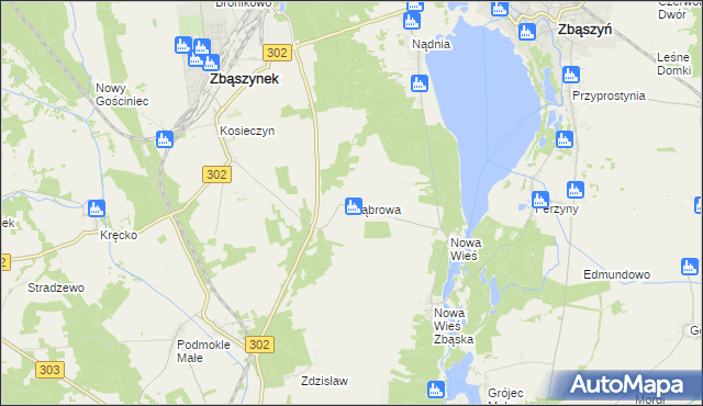 mapa Dąbrowa gmina Zbąszyń, Dąbrowa gmina Zbąszyń na mapie Targeo