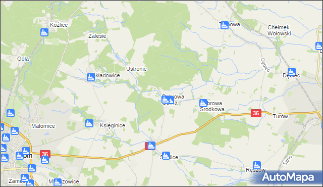 mapa Dąbrowa Górna gmina Lubin, Dąbrowa Górna gmina Lubin na mapie Targeo