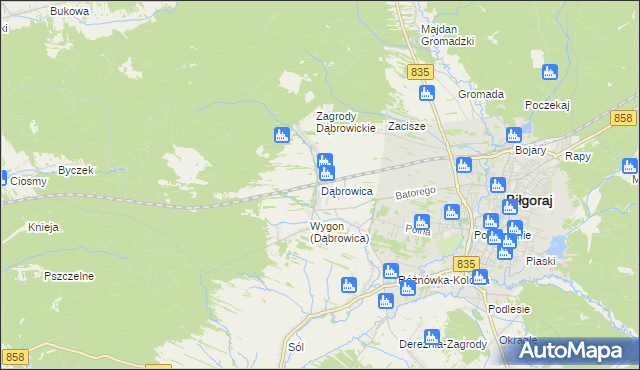 mapa Dąbrowica gmina Biłgoraj, Dąbrowica gmina Biłgoraj na mapie Targeo