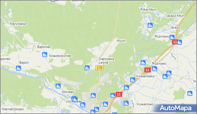 mapa Dąbrówka Leśna, Dąbrówka Leśna na mapie Targeo