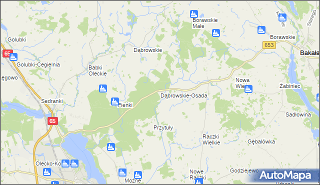 mapa Dąbrowskie-Osada, Dąbrowskie-Osada na mapie Targeo