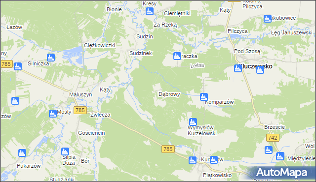 mapa Dąbrowy gmina Kluczewsko, Dąbrowy gmina Kluczewsko na mapie Targeo