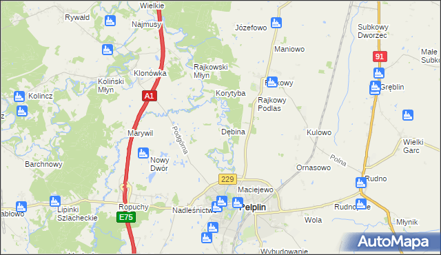 mapa Dębina gmina Pelplin, Dębina gmina Pelplin na mapie Targeo