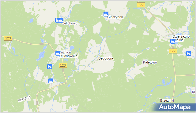 mapa Dębogóra gmina Wieleń, Dębogóra gmina Wieleń na mapie Targeo